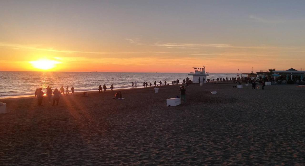 From Ostia Beach To Rome & Airport In A Heartbeat! Eksteriør bilde
